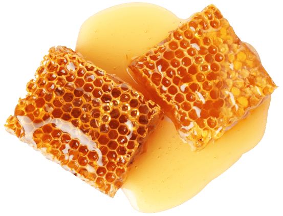 Cera de Abeja